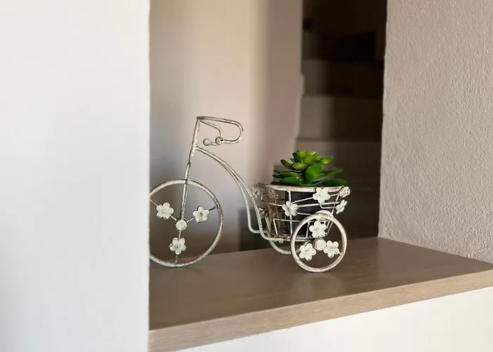 Alona Luxury